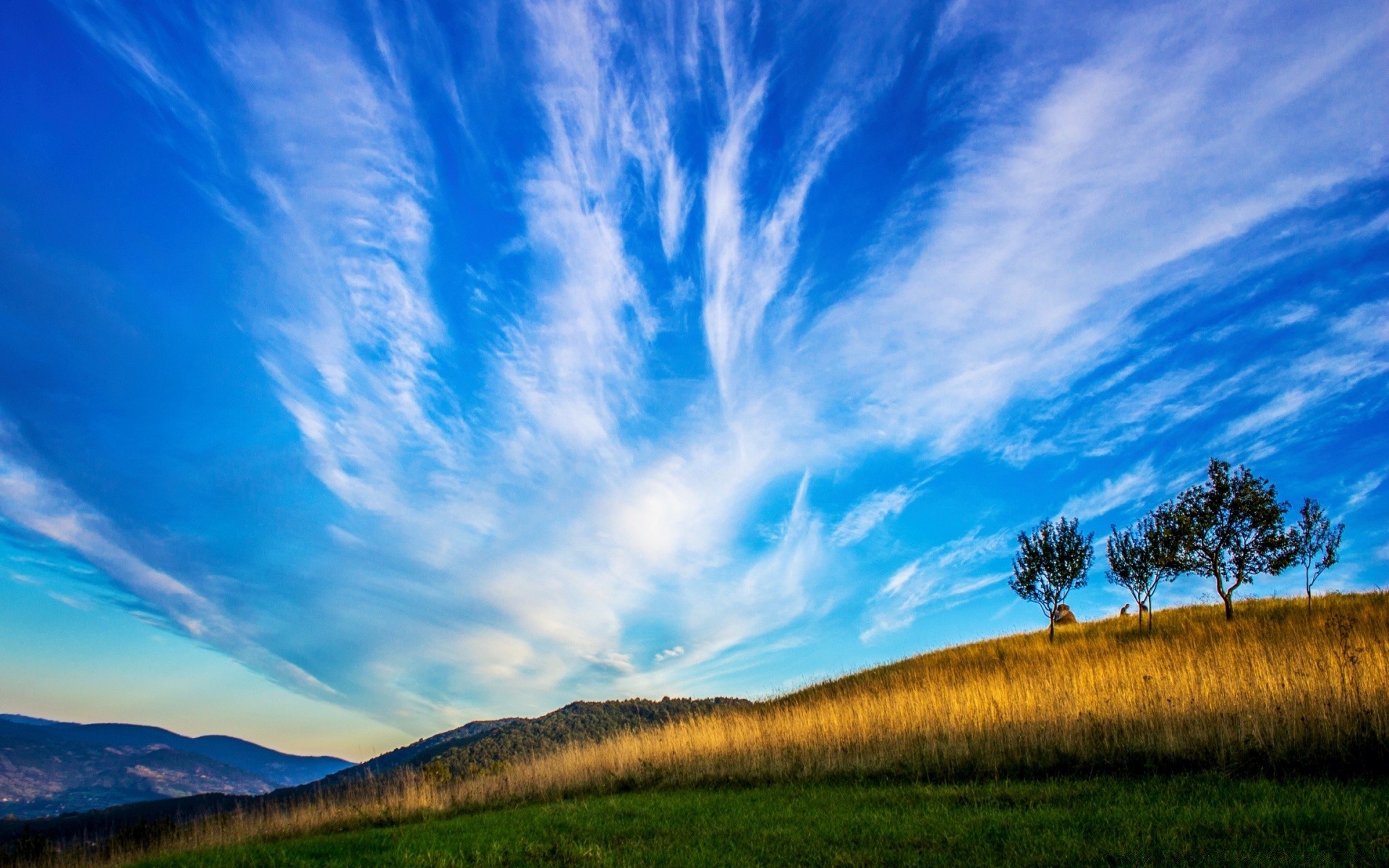 landschaft landschaft himmel natur im freien gras baum sommer gutes wetter landschaftlich landschaftlich dämmerung landschaft sonnenuntergang tageslicht wolke