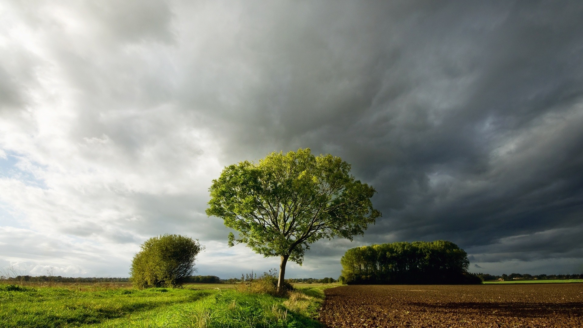 landschaft landschaft baum himmel natur des ländlichen sturm landschaft feld gras im freien wolke sonnenuntergang dämmerung holz landwirtschaft bauernhof sommer sonne licht