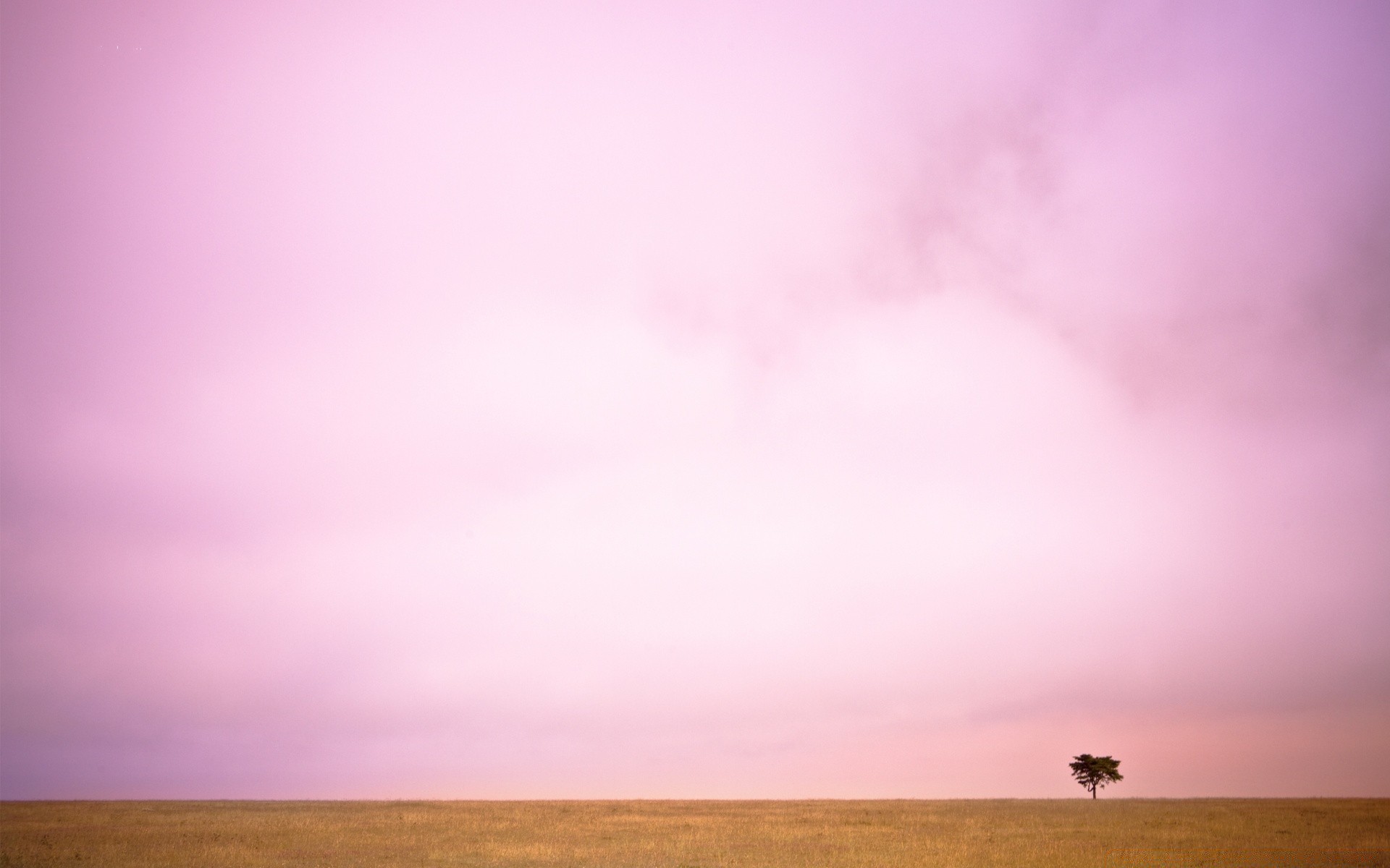 landscapes sky landscape nature sunset dawn fog sun