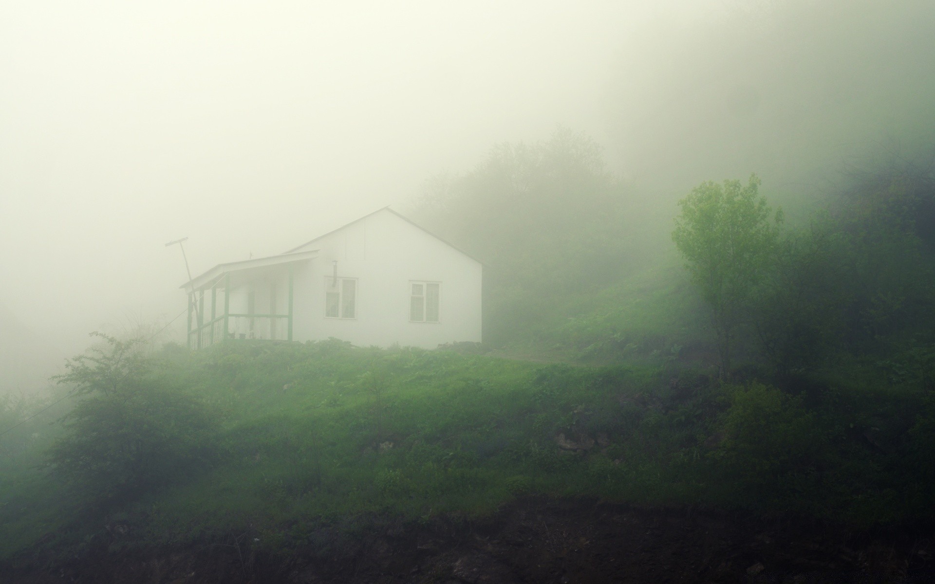 landscapes house landscape nature light fog water dawn tree