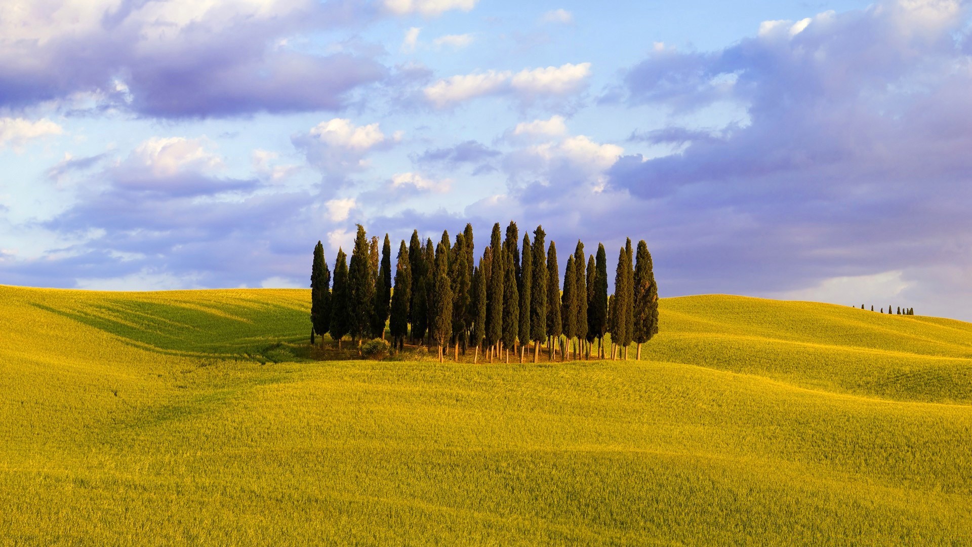 paesaggio paesaggio agricoltura campo rurale campagna natura fattoria cielo albero estate paese erba pascolo all aperto fieno raccolto terreno agricolo bel tempo scenico