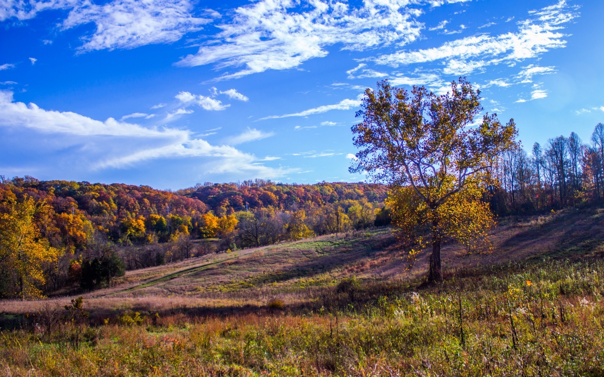 paesaggio paesaggio albero natura legno scenico cielo autunno all aperto viaggi montagna collina erba campagna scena rurale paesaggio spettacolo fieno stagione