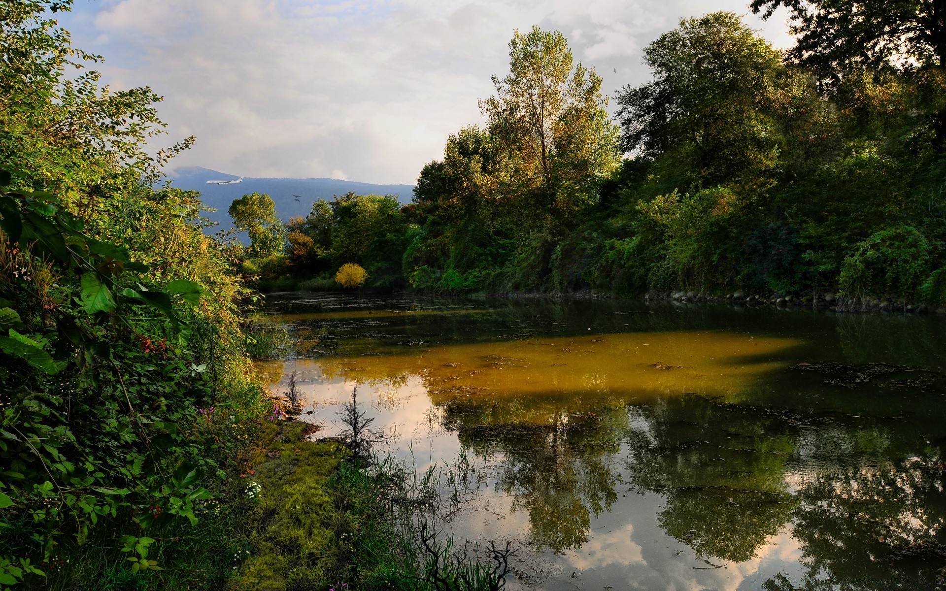 paisagens água natureza árvore rio paisagem ao ar livre lago madeira viagens verão reflexão céu cênica folha parque piscina luz do dia