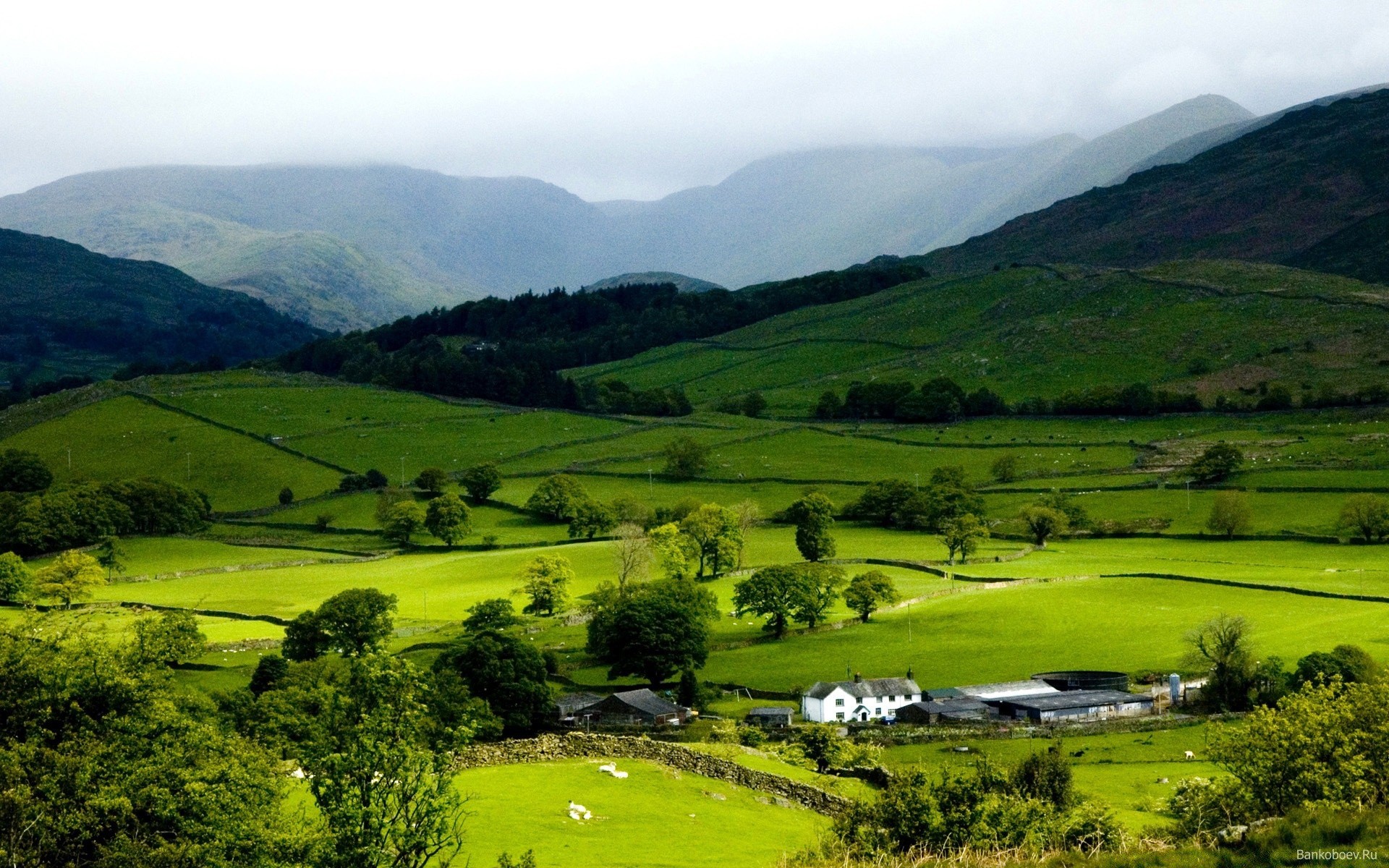 landscapes landscape cropland valley hill agriculture mountain nature tree travel outdoors countryside scenic farm grass daylight hayfield summer wood idyllic