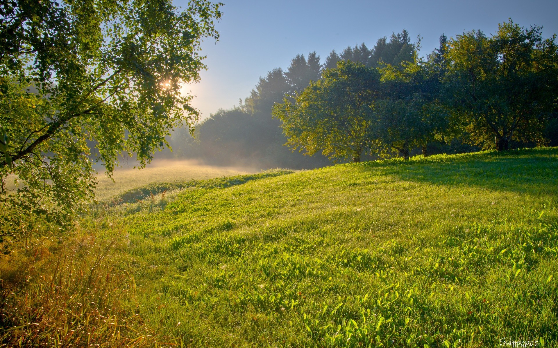 krajobrazy krajobraz drzewo natura sianokosy trawa pole wsi malownicze lato wsi środowiska na zewnątrz rolnictwo drewna idylla kraj niebo świt światło dzienne