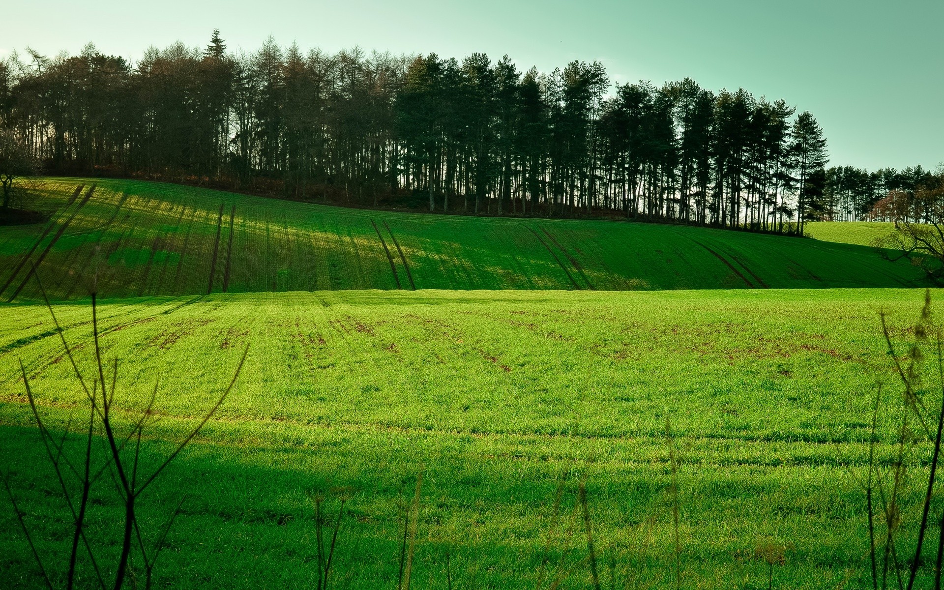 landscapes grass landscape field hayfield rural nature agriculture tree countryside summer farm country outdoors pasture sky