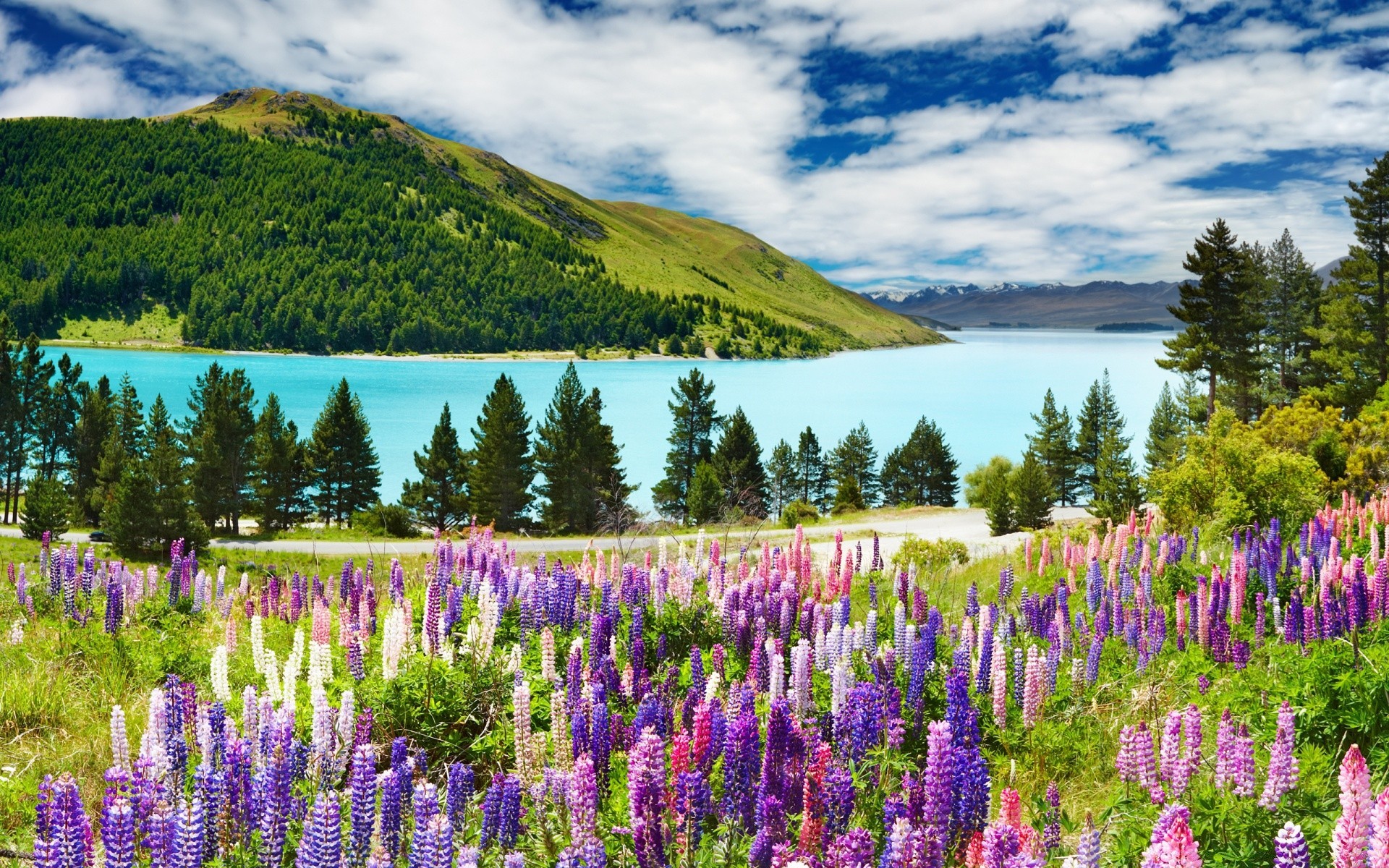 landschaft landschaft lupine natur im freien berge landschaftlich sommer see heuhaufen blume gras himmel landschaft des ländlichen reisen wasser feld holz holz