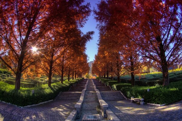 Herbstfarben der Natur im Park