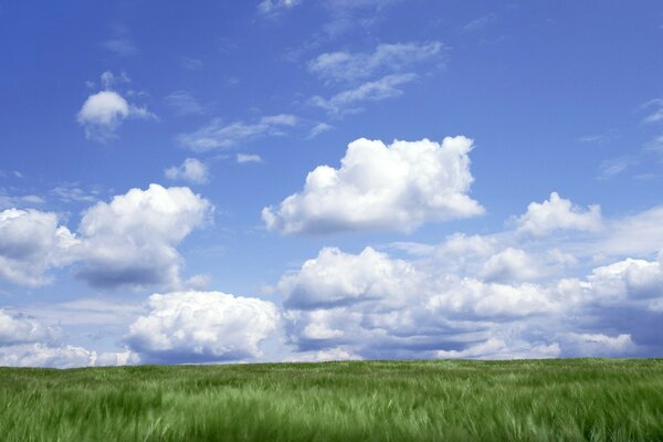 Plaine verte sous un ciel bleu avec des nuages