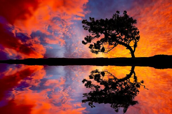 Paesaggi di sagome di tramonti e albe