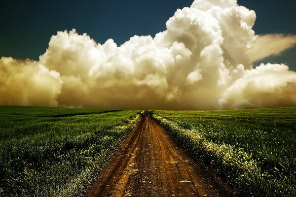 Paysage rural-champ et ciel