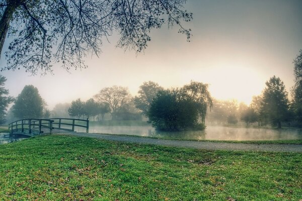 Paysage de brouillard sur le sentier du lac le long du lac