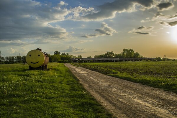 Smiley auf dem Rasen an der Landstraße