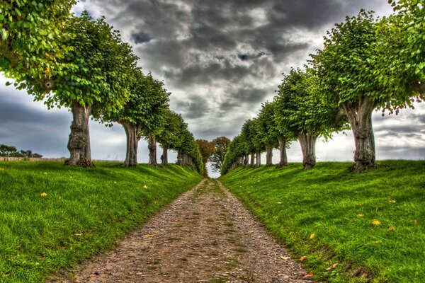 The road to the unknown. Beautiful thunderclouds