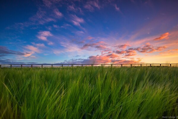 Beautiful sunset in the countryside