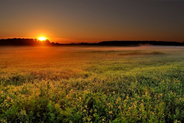 Paysage naturel au lever du soleil