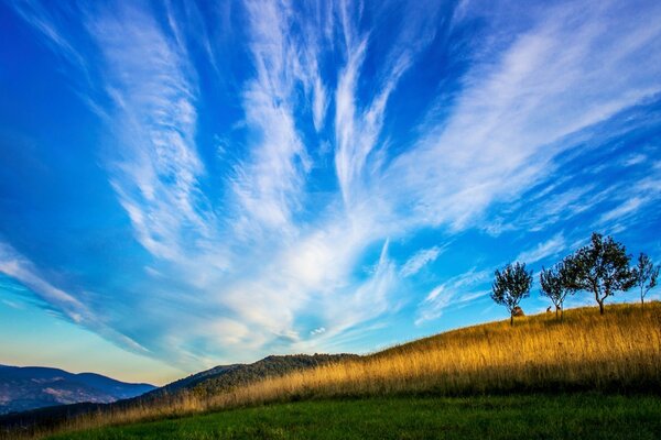 Cielo azul con nubes de plumas