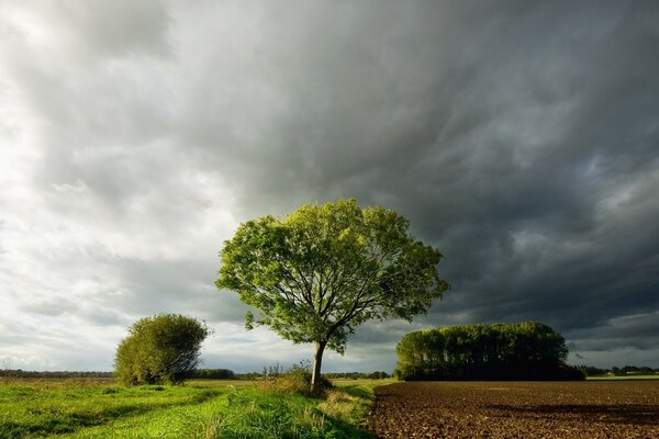 Landschaft im Gleichgewicht der Natur