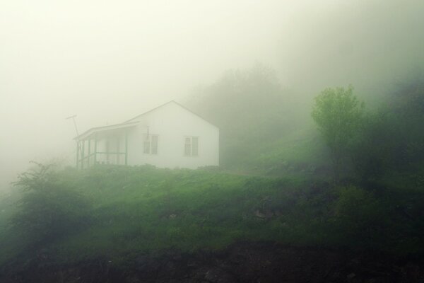 Maison de paysage sur la colline dans le brouillard de la nature