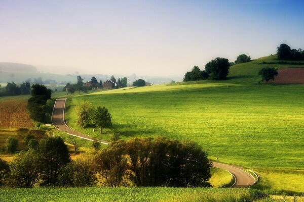 Route dans un champ avec des arbres et des collines