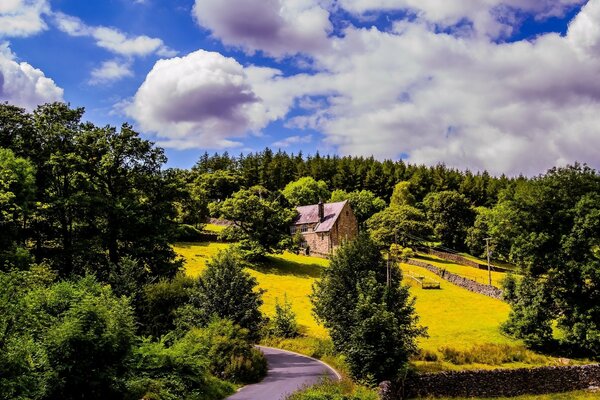 A lonely house is located in the forest