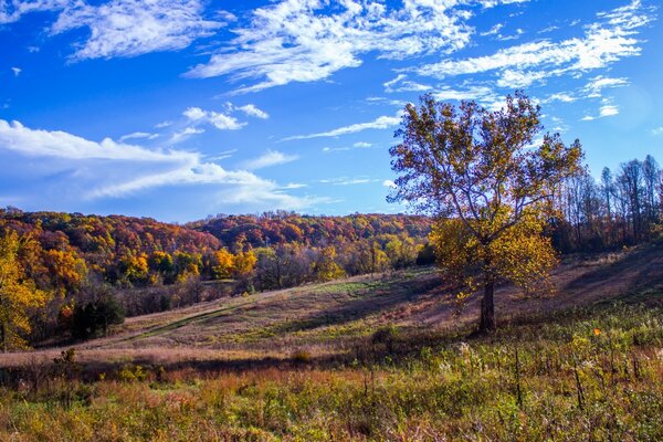 Der Beginn des Herbstes in den Farben des kommenden Sommers