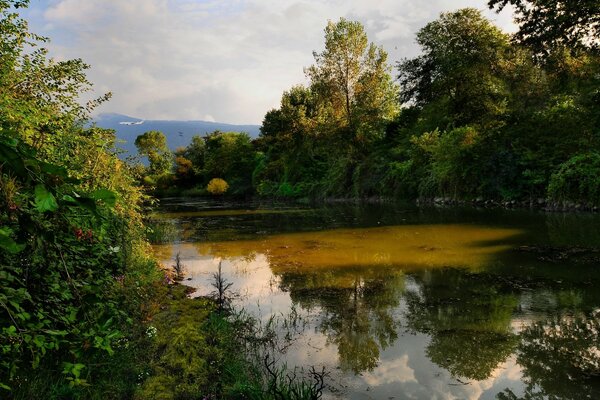 Wasseroberfläche vor dem Hintergrund von zwei Ufern