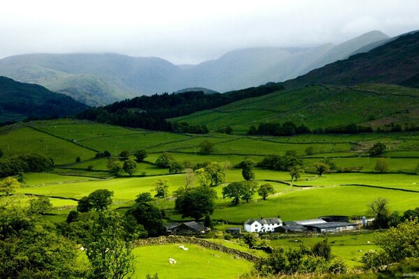 Misty hills in a green valley