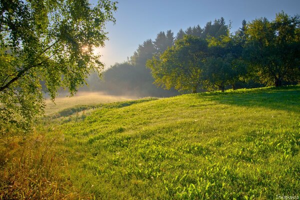 Haymaking in nature, great landscape