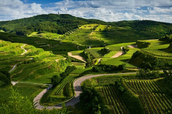 Paesaggio dal viaggio alla terra coltivata