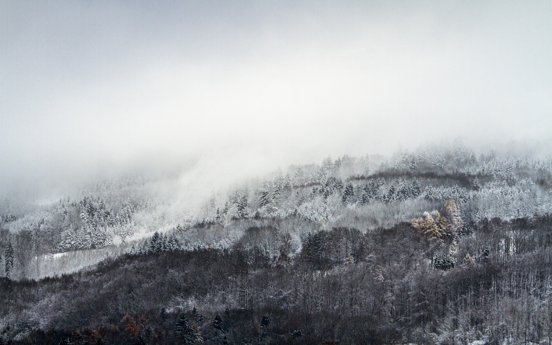 europe hiver neige brouillard paysage froid nature brouillard gel glace bois météo congelés bois à l extérieur ciel voyage montagnes tempête