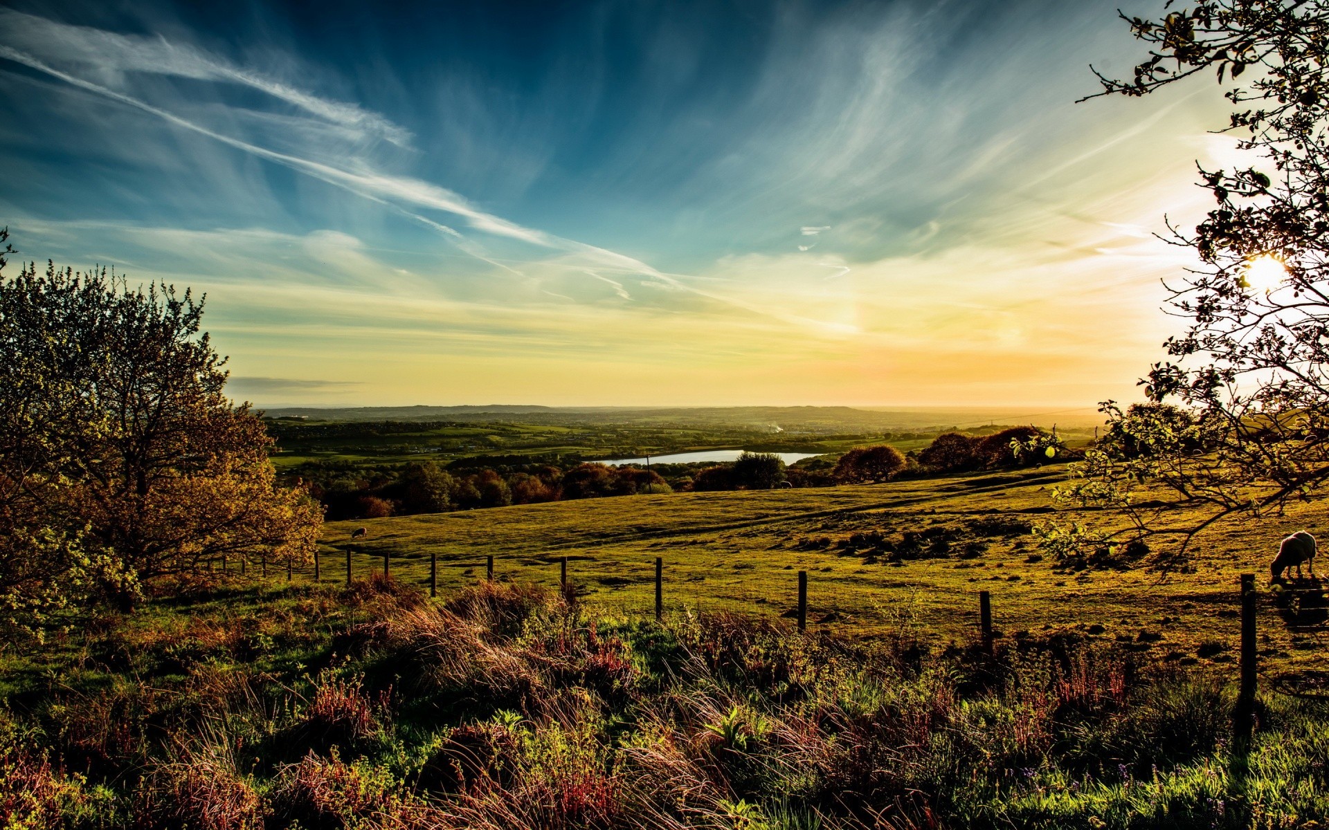 europa paesaggio albero natura cielo tramonto all aperto rurale campo erba campagna alba legno autunno sole luce bel tempo agricoltura paese fieno