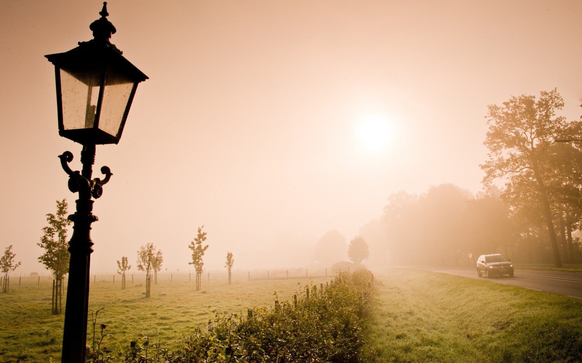 europe brouillard coucher de soleil aube brouillard nature soleil en plein air soir ciel lumière paysage silhouette été arbre crépuscule voyage eau