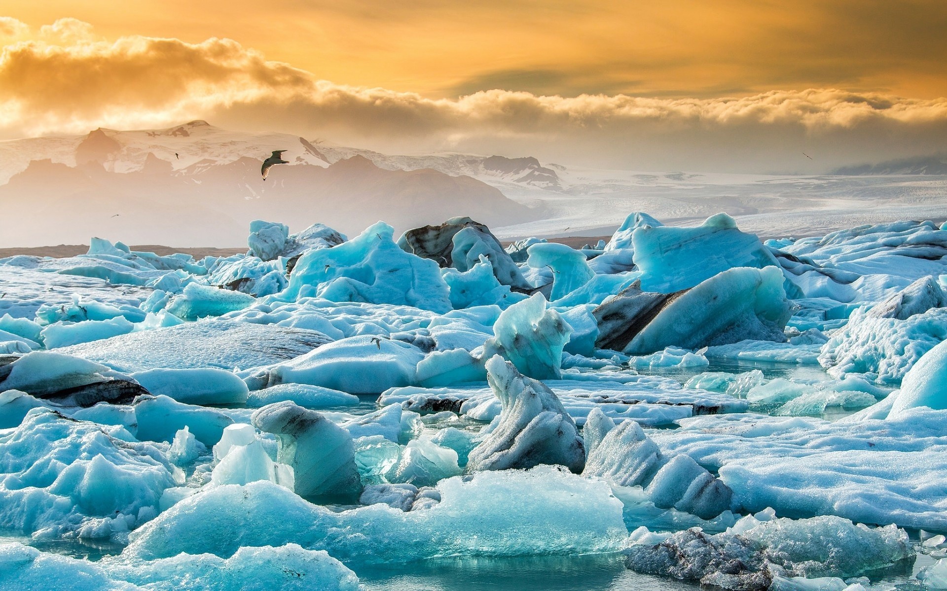 europa iceberg gelo água gelado neve derretimento mar geleira frio oceano inverno paisagem natação congelado viajar natureza céu