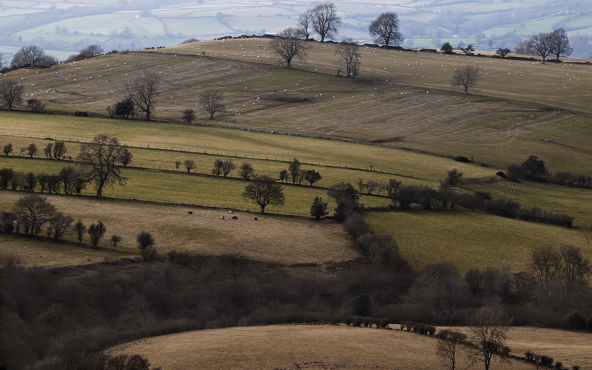 europe paysage agriculture en plein air colline terres cultivées voyage pâturage scénique arbre désert ferme