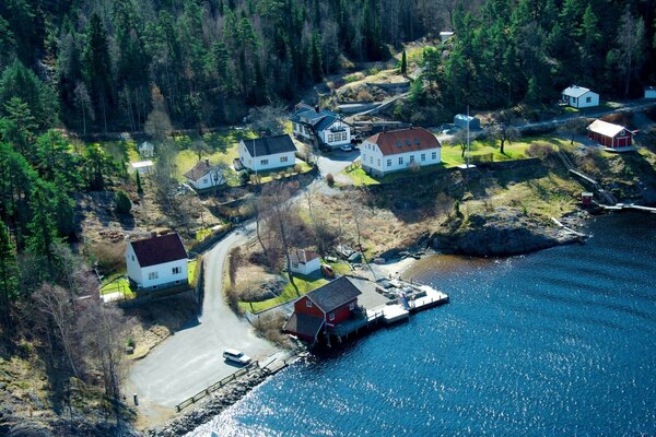 Hermoso paisaje con casas y bosque