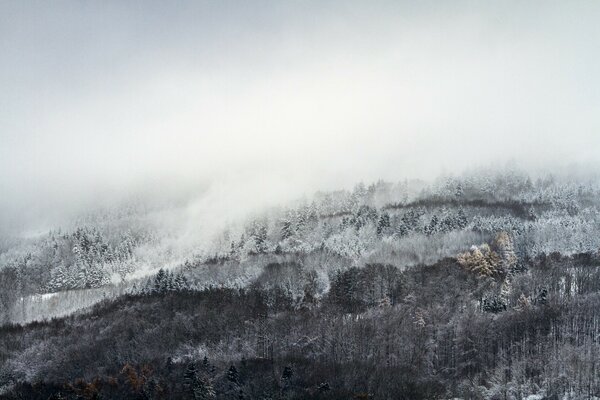 Bellissimo paesaggio di nebbia e neve