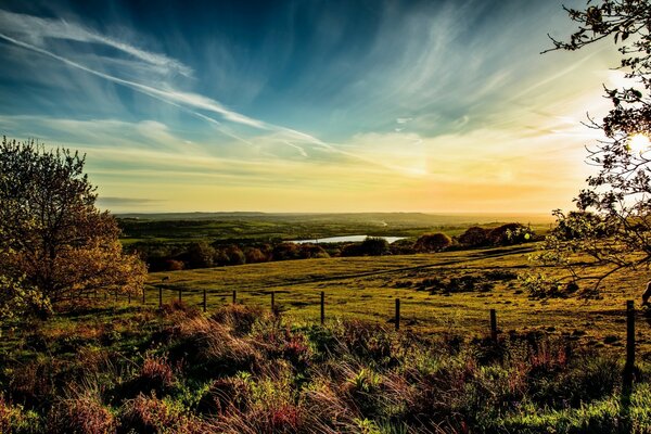 Landschaft der europäischen Natur. Baum und Himmel