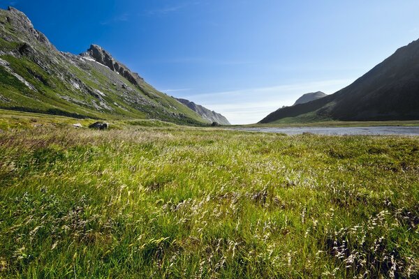 Meadow grass and mountains