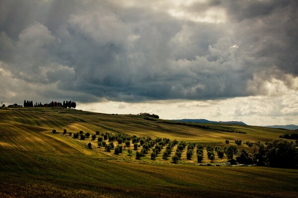 Agriculture en Europe paysage