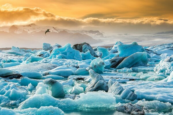 Blocchi di ghiaccio di un iceberg rotto