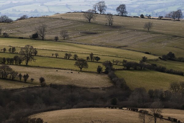 Agriculture en Europe sur la colline