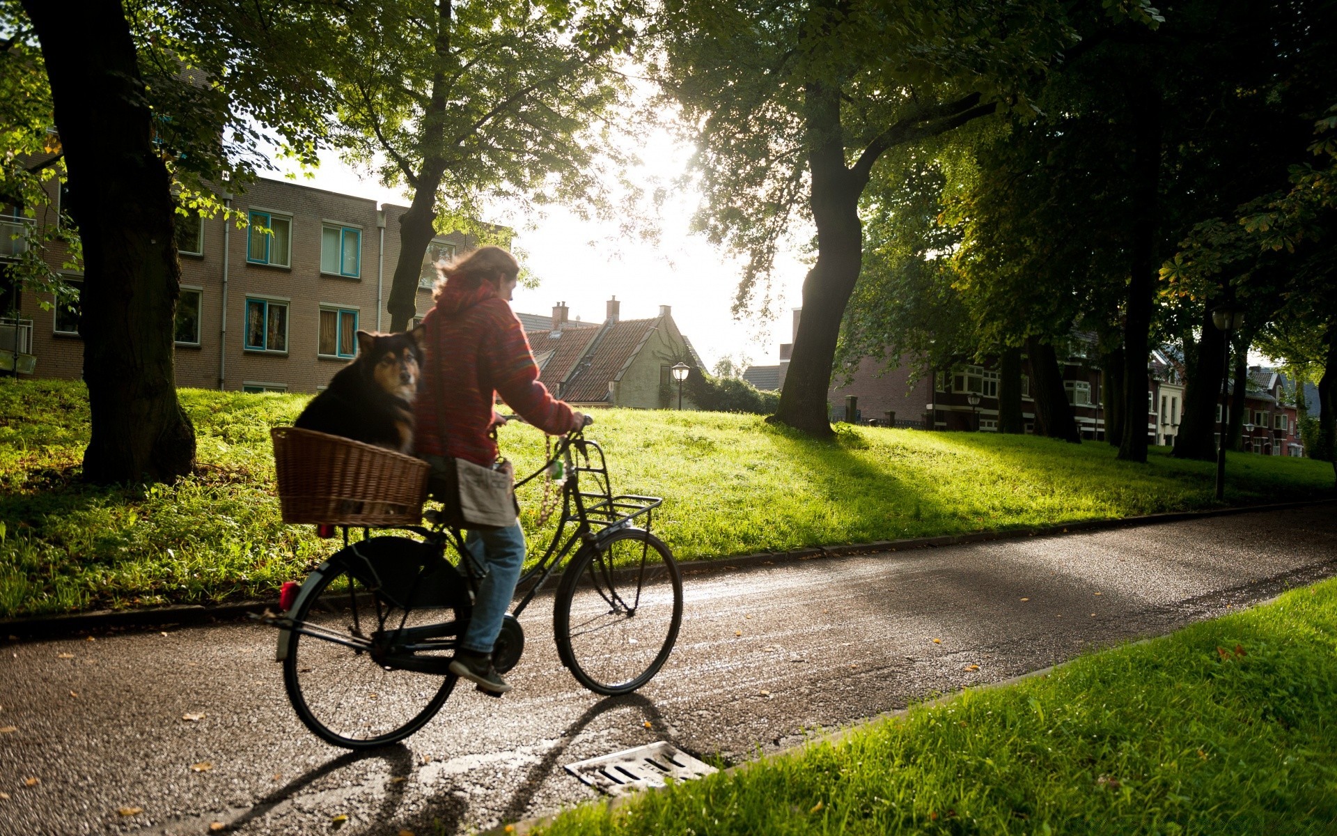 europa straße räder park straße radfahrer gras bank baum transportsystem bürgersteig fahrrad landschaft im freien ort