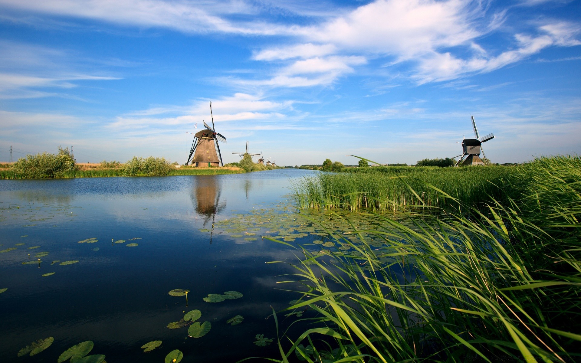 europa acqua lago reed paesaggio erba natura riflessione mulino a vento cielo azienda agricola estate agricoltura all aperto fiume campo marcia albero rurale