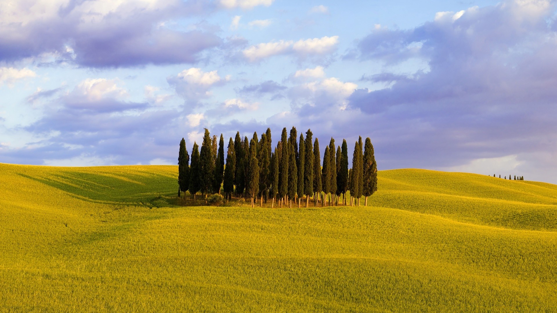 europa paisaje agricultura campo campo rural naturaleza granja cielo árbol verano hierba pasto país al aire libre heno ciprés buen tiempo tierras de cultivo cosecha