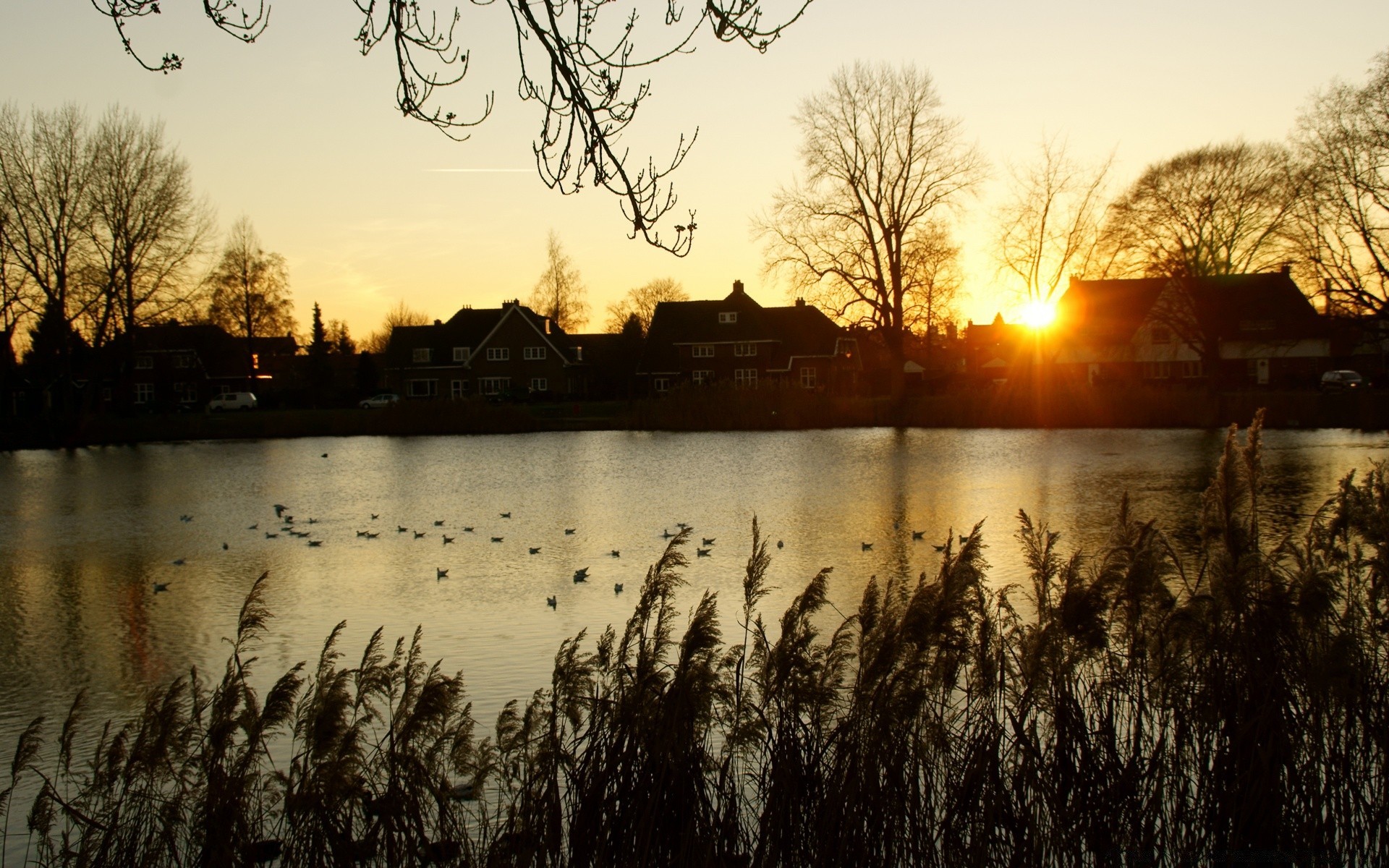 europa amanecer atardecer reflexión agua lago naturaleza árbol río paisaje noche al aire libre cielo sol otoño crepúsculo luz piscina sangre fría silueta