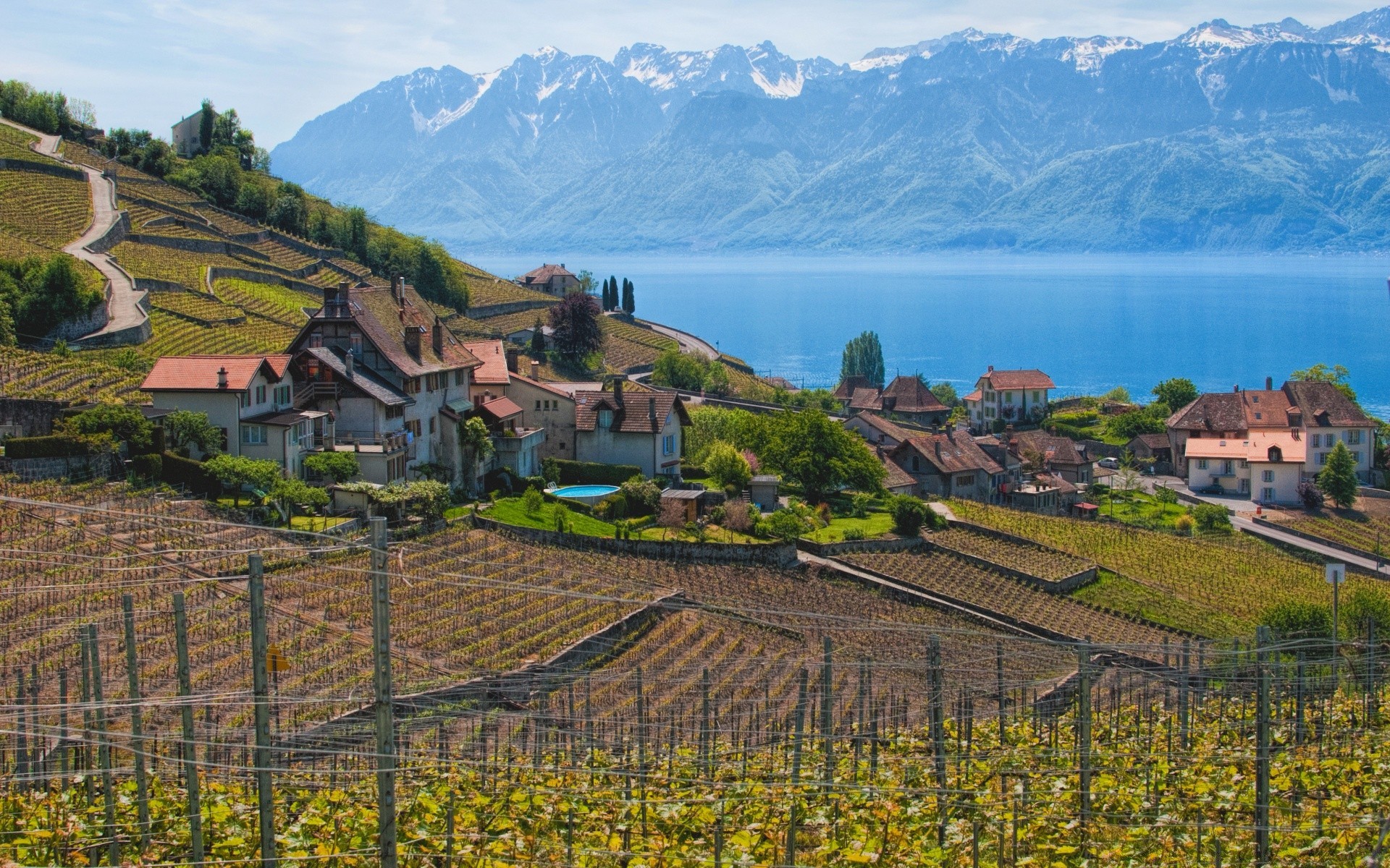 europe agriculture vineyard landscape vine travel cropland house farm hill scenic nature tree viticulture valley farmhouse mountain winery outdoors field