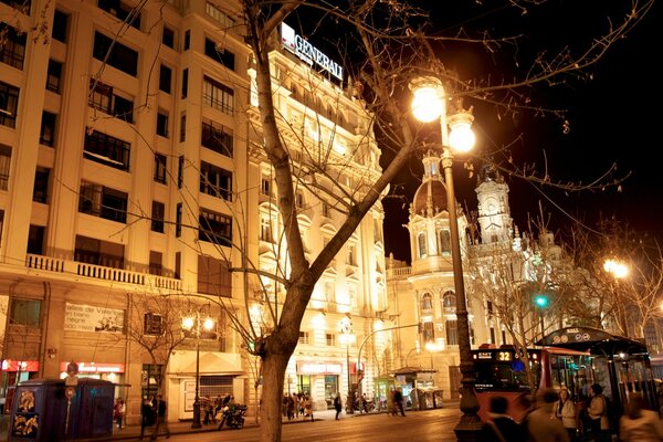 Les lanternes sont allumées près de l arbre d automne dans la ville de nuit