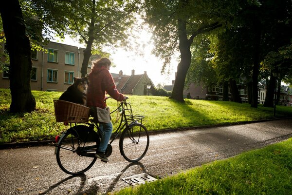 Viaje europeo en bicicleta con perro