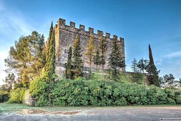 A fortress surrounded by trees on the shore